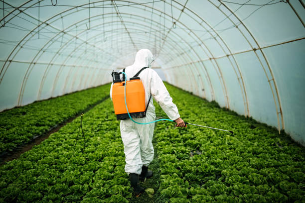 Pest Control Cost in Kennesaw, GA
