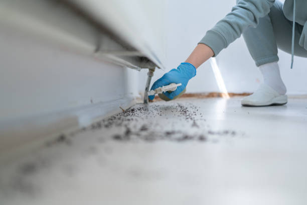 Professional Pest Control in Kennesaw, GA